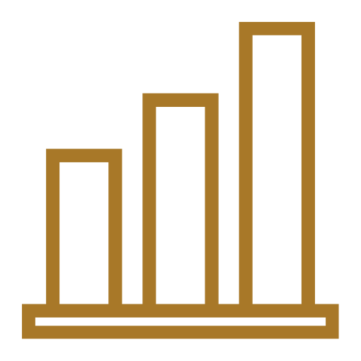 Report Icon